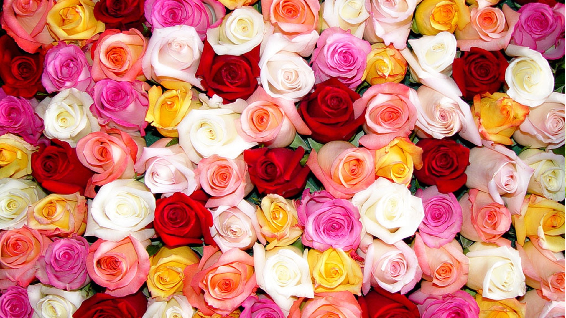 Pink Banner