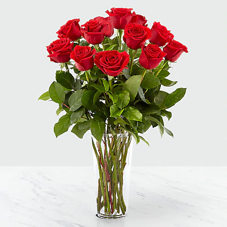 One Dozen Red Roses